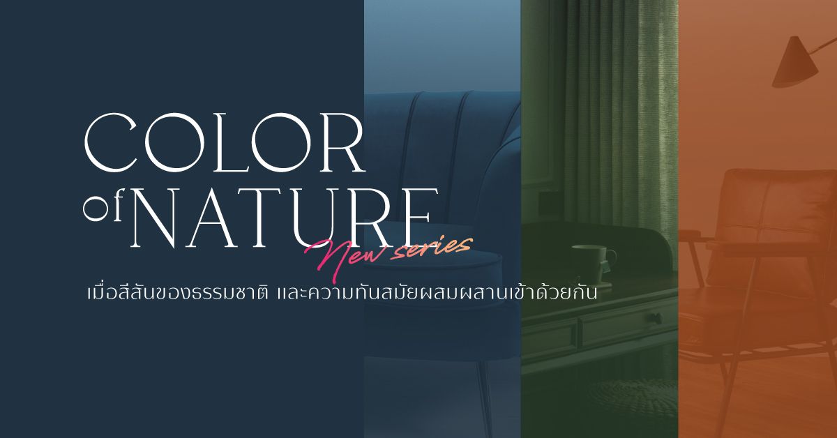 Perfect Park เปิดตัวบ้าน 3 สีใหม่ ผ่านคอนเซ็ปต์ “Color of Nature”